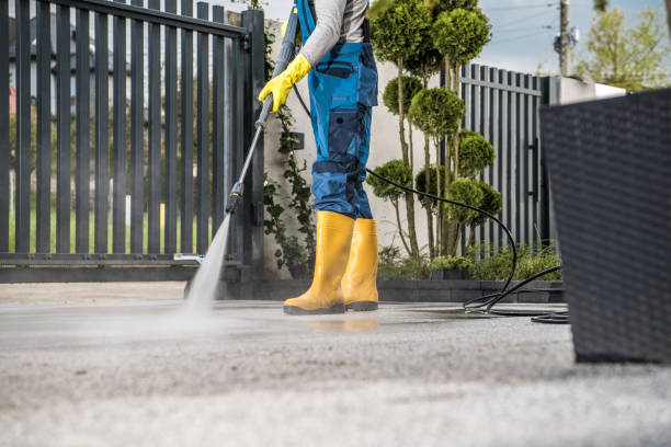 Best House Pressure Washing  in West Bishop, CA