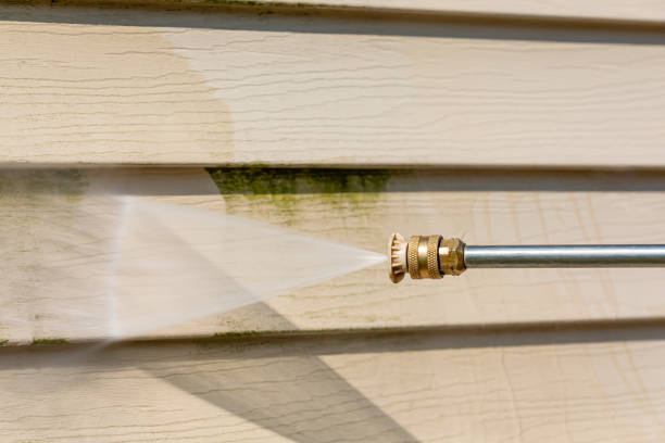 Best Exterior Home Cleaning  in West Bishop, CA